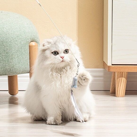 Multifunctional Cat Toys Set - Picture 6 of 6